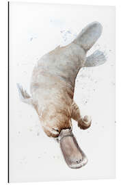 Magnettafel Schnabeltier