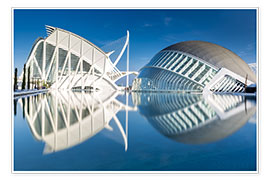 Póster Museum Valencia, City of Arts and Science