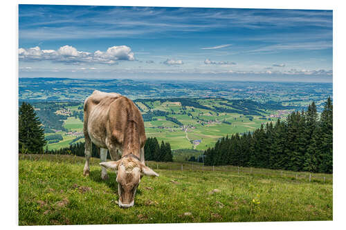 Foam board print Ausblick mit Kuh