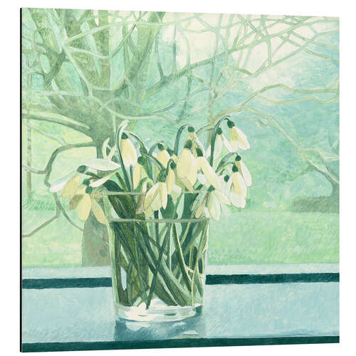 Aluminiumsbilde Snowdrops