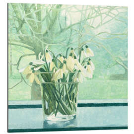 Aluminium print Snowdrops