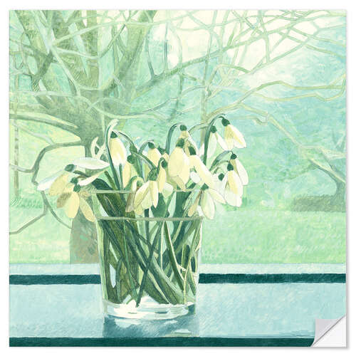 Sticker mural Perce-neige