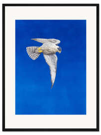 Gerahmter Kunstdruck der blaue Falke