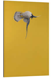 Magnettafel Yellow Stoop