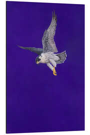 Magnettafel Purple Stoop