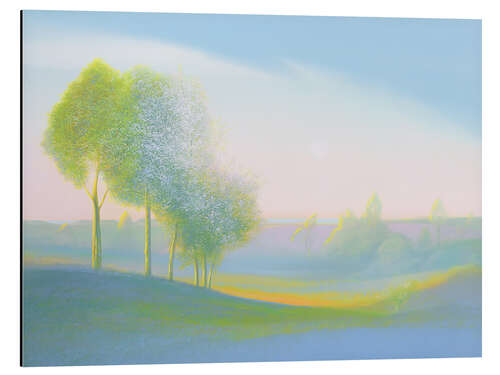 Aluminium print Spring Early Morning
