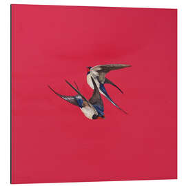 Alubild Roter Strudel