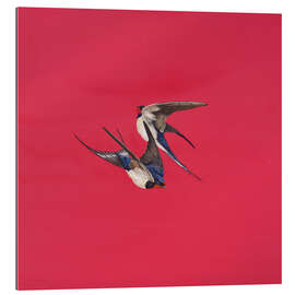 Gallery Print Roter Strudel