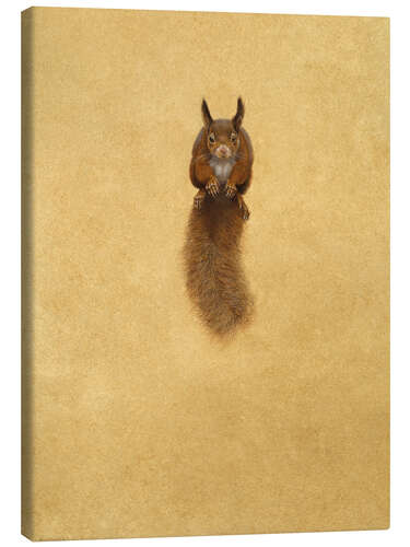 Canvas-taulu Leaping Red Squirrel -