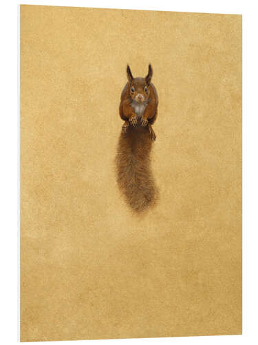 PVC-taulu Leaping Red Squirrel -