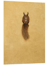 PVC print Leaping Red Squirrel -