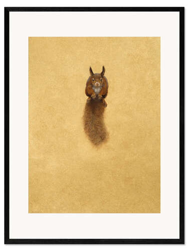 Innrammet kunsttrykk Leaping Red Squirrel -