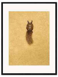 Innrammet kunsttrykk Leaping Red Squirrel -