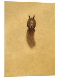 Gallery print Leaping Red Squirrel -