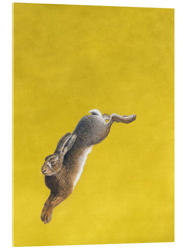 Acrylic print The Leap-Yellow