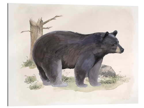 Gallery print Wildlife - Bear