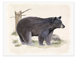 Wall print  Wildlife - Bear - Beth Grove