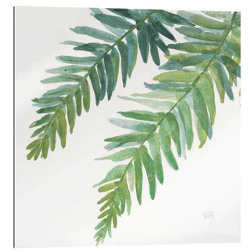 Quadro em plexi-alumínio Ferns Square I