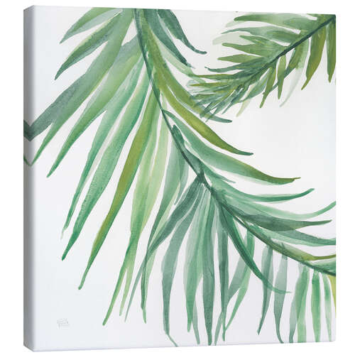 Canvas print Fern leaves IV