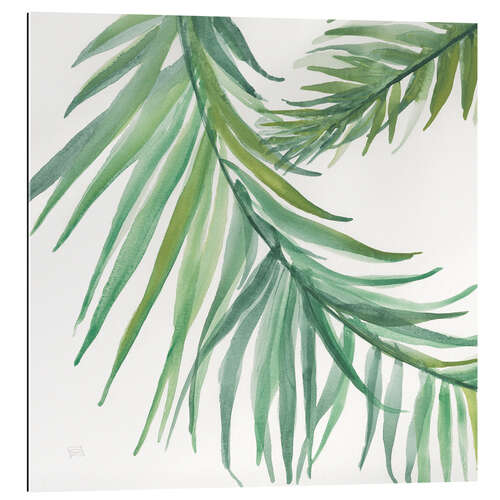 Gallery print Fern leaves IV