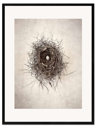 Inramat konsttryck Bird's nest I