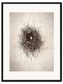 Inramat konsttryck Bird's nest I