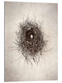 Gallery print Bird&#039;s nest I