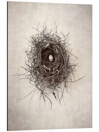 Magnettafel Vogelnest I