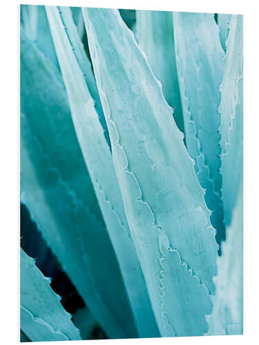 PVC print Agave IV