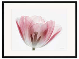 Gerahmter Kunstdruck Transparenz III