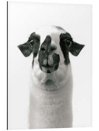 Magnettafel Liebenswertes Lama II