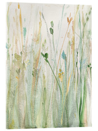 Acrylic print  Spring Grasses II - Avery Tillmon