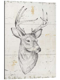 Magnettafel Wild und schön I