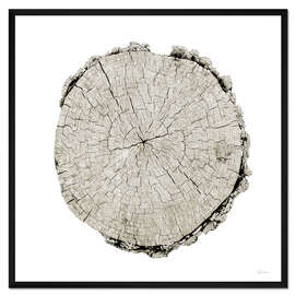 Gerahmter Kunstdruck Wald-Jahre II