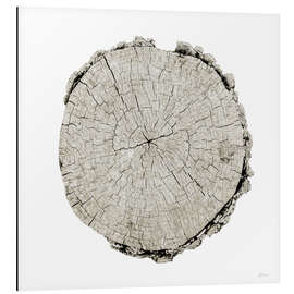 Magnettafel Wald-Jahre II