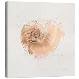 Canvas print Shell Collector II