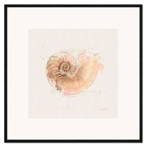 Framed art print Shell Collector II