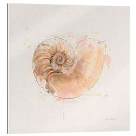 Gallery print Shell Collector II