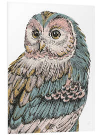 Quadro em PVC Beautiful Owl I