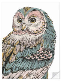 Selvklebende plakat Beautiful Owl I