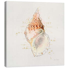 Canvas print Shell Collector III