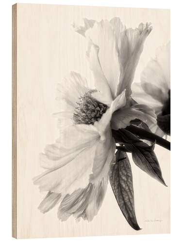 Wood print Translucent Peony IV