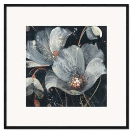 Framed art print Translucent Poppies