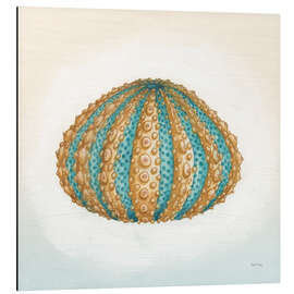 Magnettafel Boardwalk Seeigel