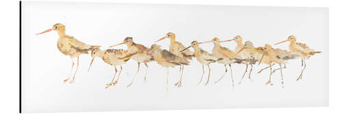 Aluminium print Watercolor Sandpipers