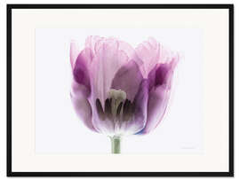 Gerahmter Kunstdruck Inside Out II