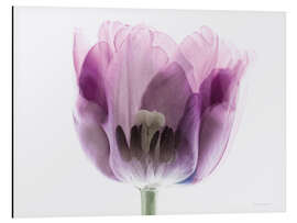 Magnettafel Inside Out II