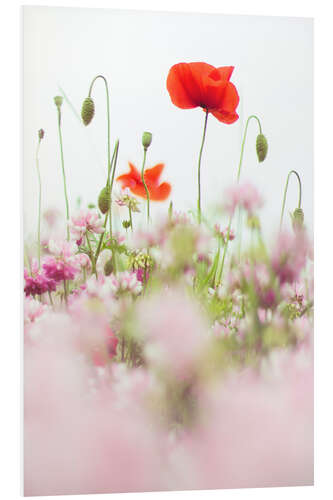 Hartschaumbild Mohnblumen auf dem Feld