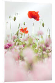 Gallery print Poppies in the field