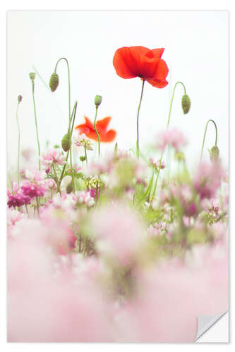 Wall sticker Poppies in the field